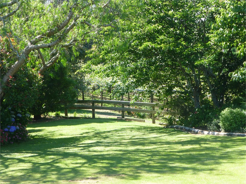 Surrounded by Kiwifruit Orchards