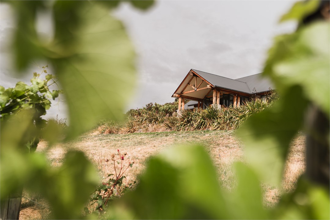 View of the house from the vineyard