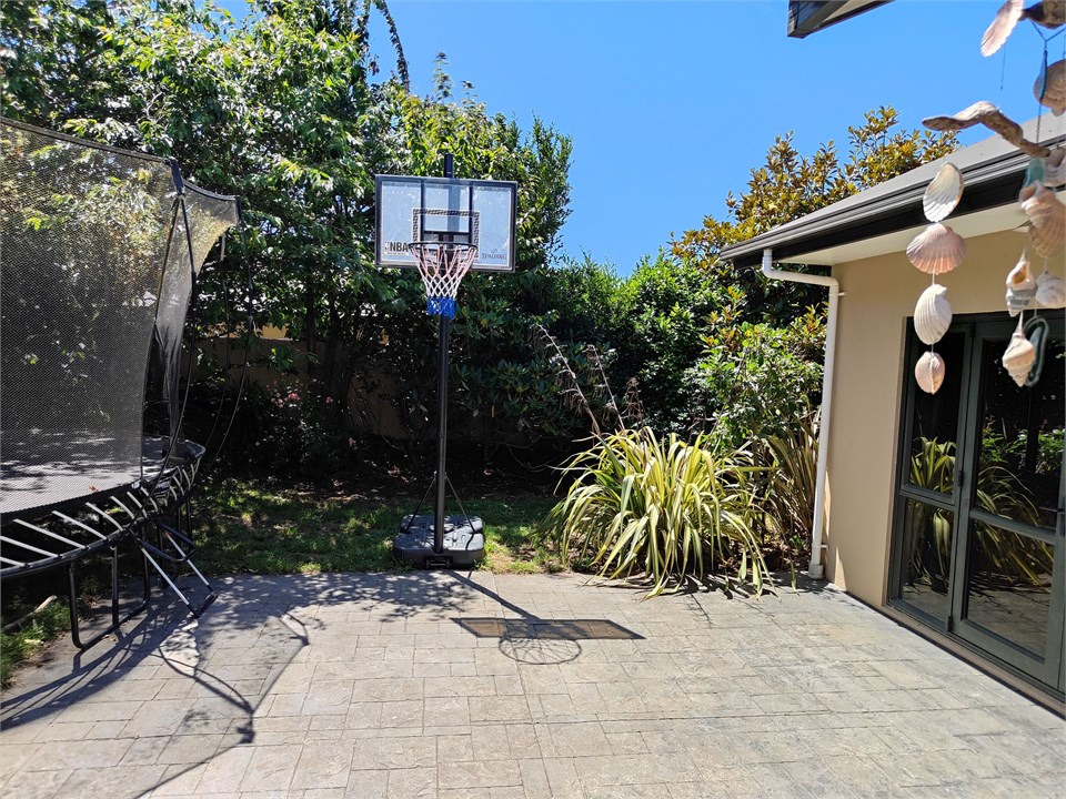 Back yard basketball hoop