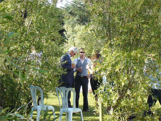 Wedding venue amongst the olive trees
