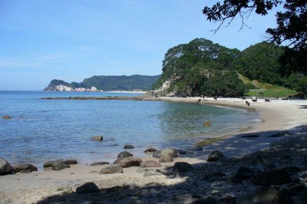 Waimama Bay - 20 mins walk