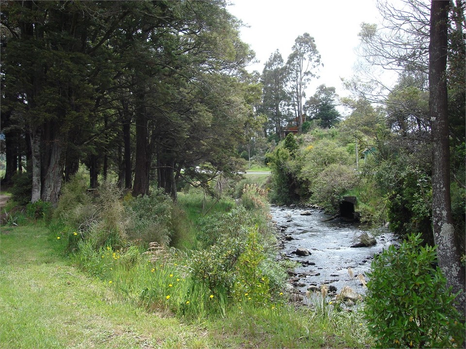 Mangawhero river close by