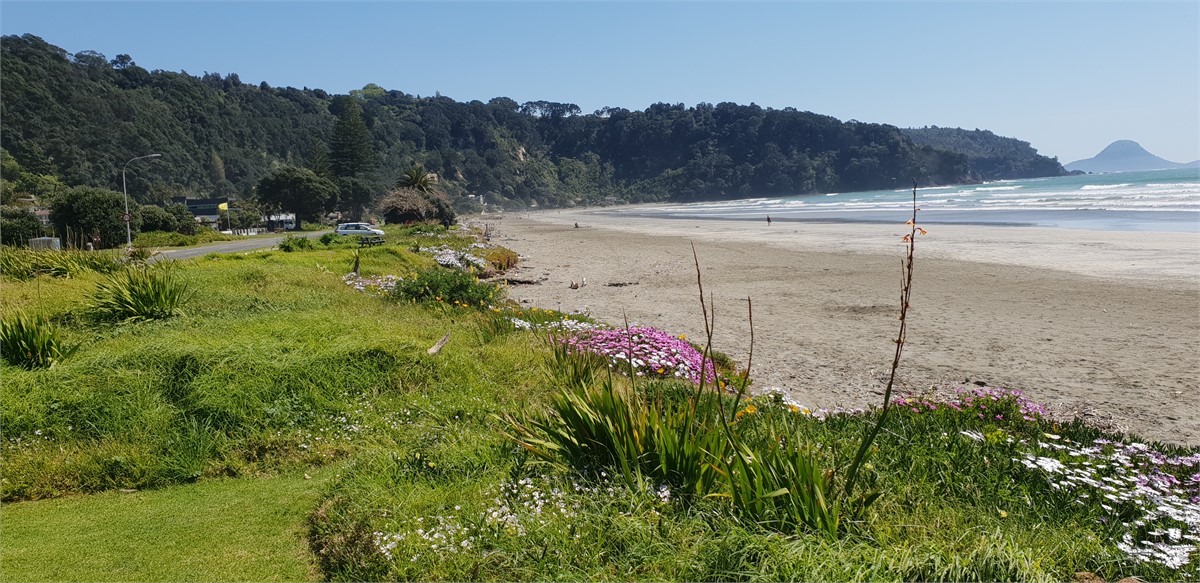 Sun Seeker Apartment Ohope Beach Ohope Beach Apartment for rent