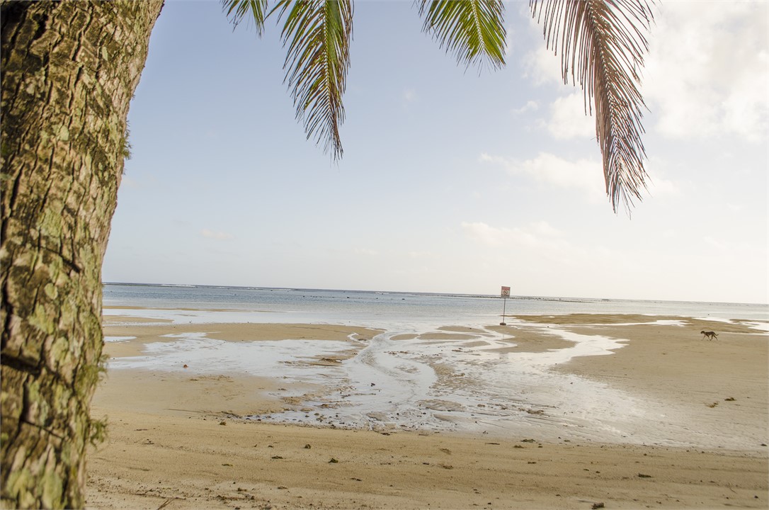 Sand Bar view at low tide