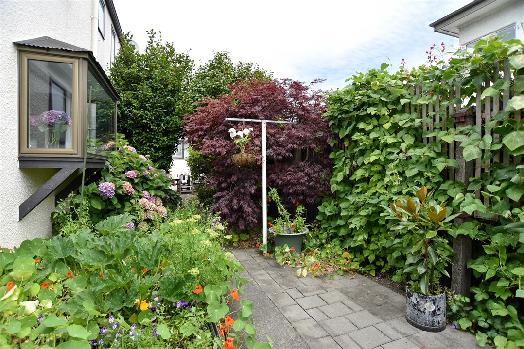Garden view and walkway