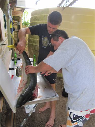 filetting bench; kingfish caught out in the bay