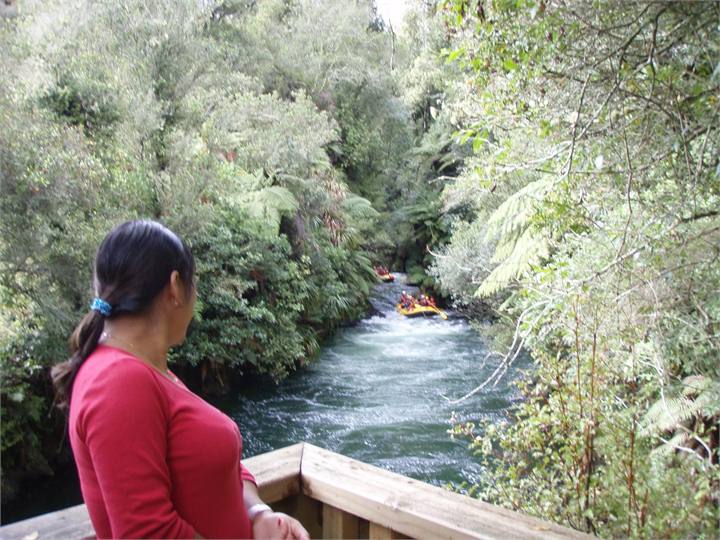 Bush walks,Rafting over the waterfall from lookout