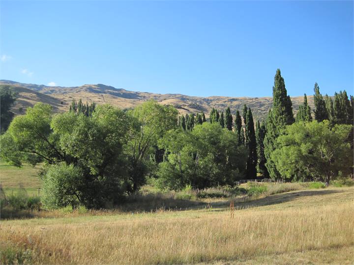 Cardrona Countryside