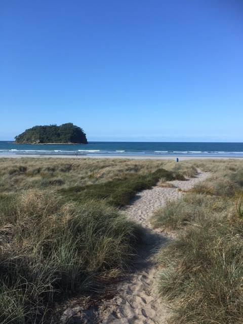 240 steps to the beach