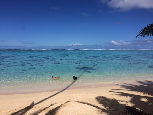 stunning views from your deck !