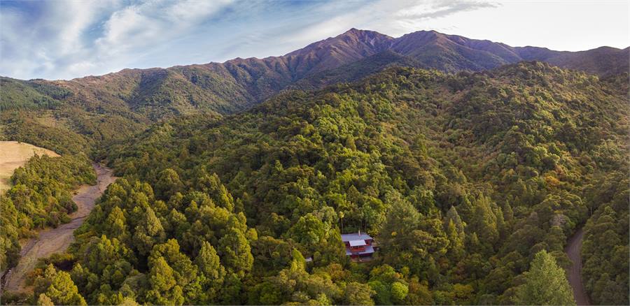 The Lookout nestled in Peel Forest Park