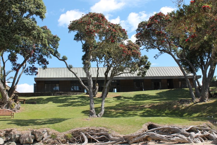 Airlie Lodge overlooks Coopers Beach