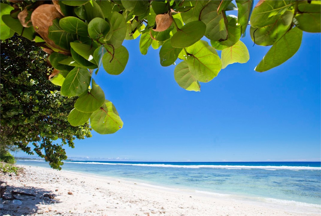 Closest 5min walk beach