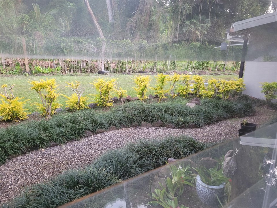 anotehr look at the back yard garden