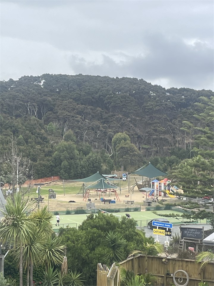 View from the balcony of the Mangawhai Activity Zo
