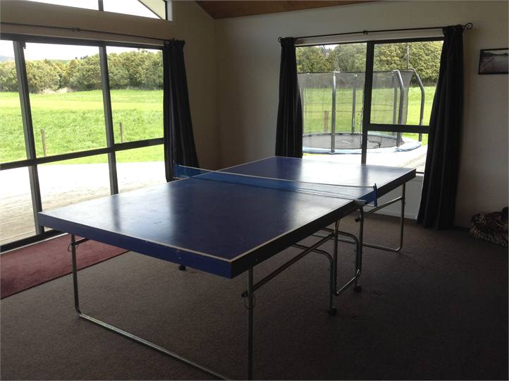 Table tennis table