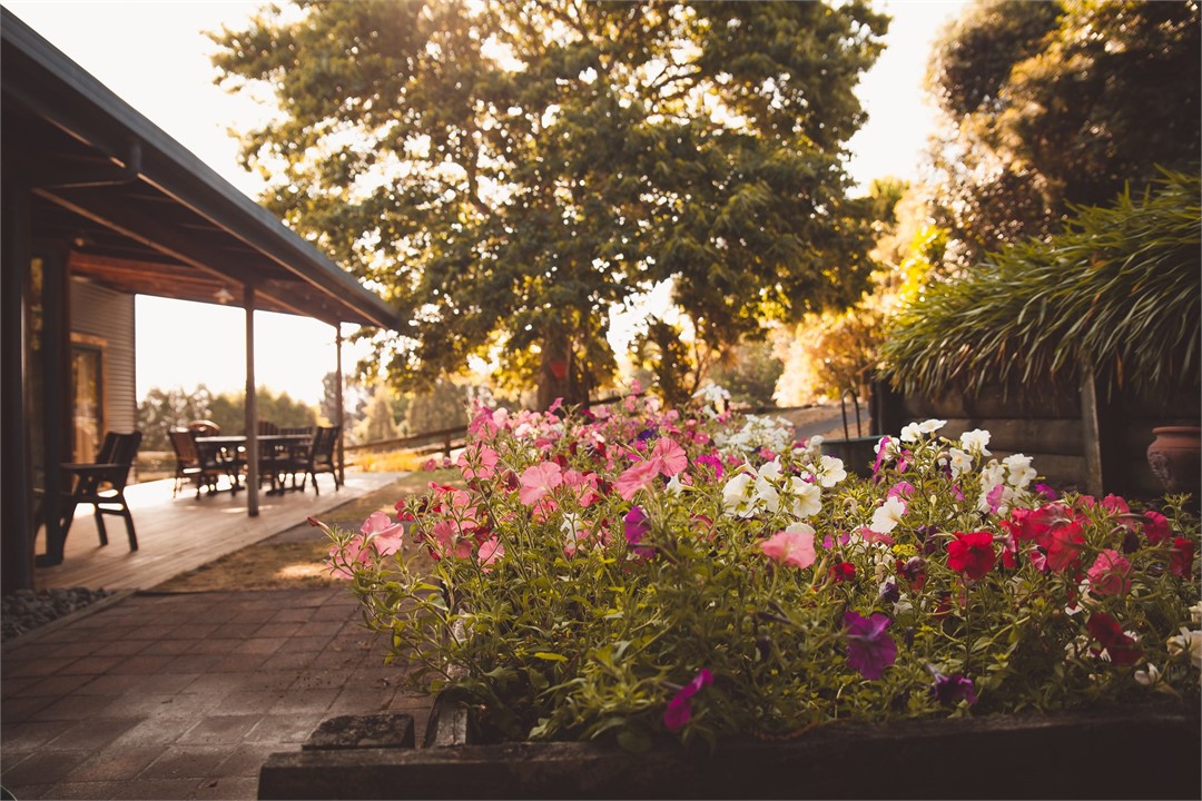 Quiet relaxing with plenty of shae