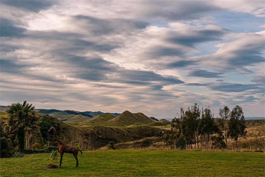 Moody skies over the Waipuka hills