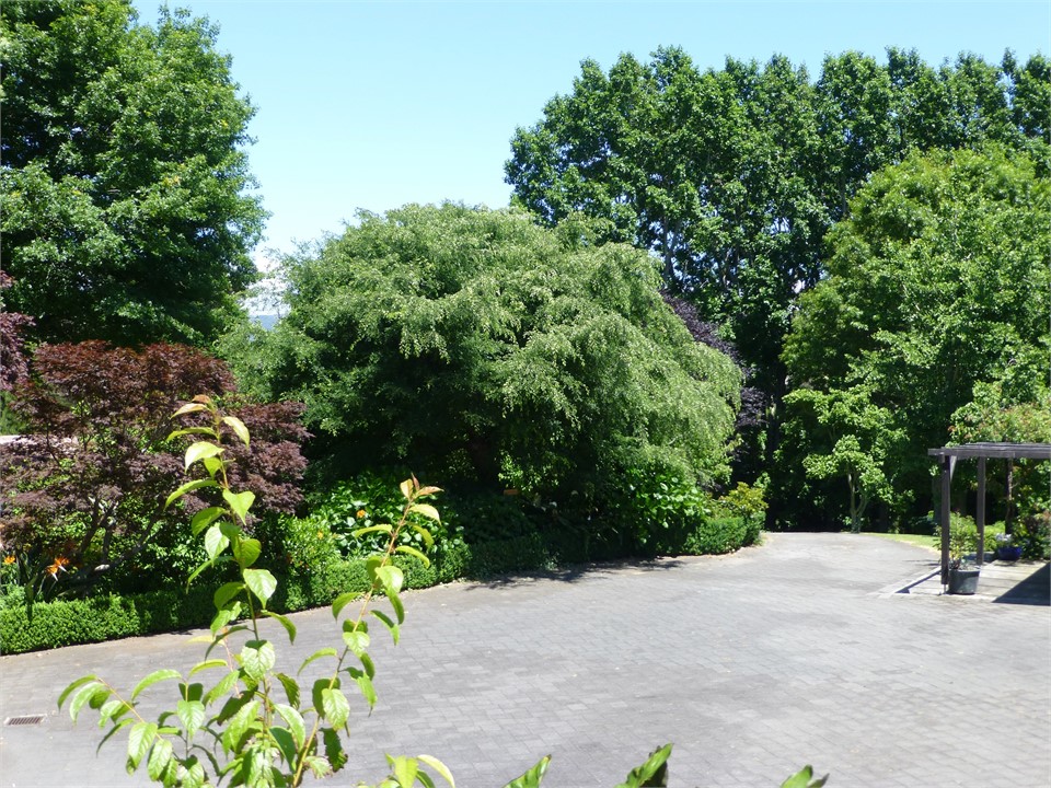 Plenty of off street parking