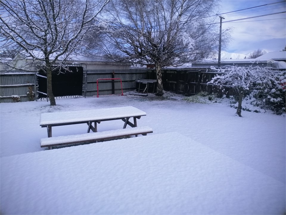 Snow in the back garden