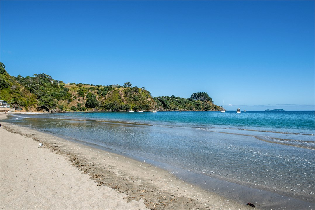 Palm Beach morning stroll