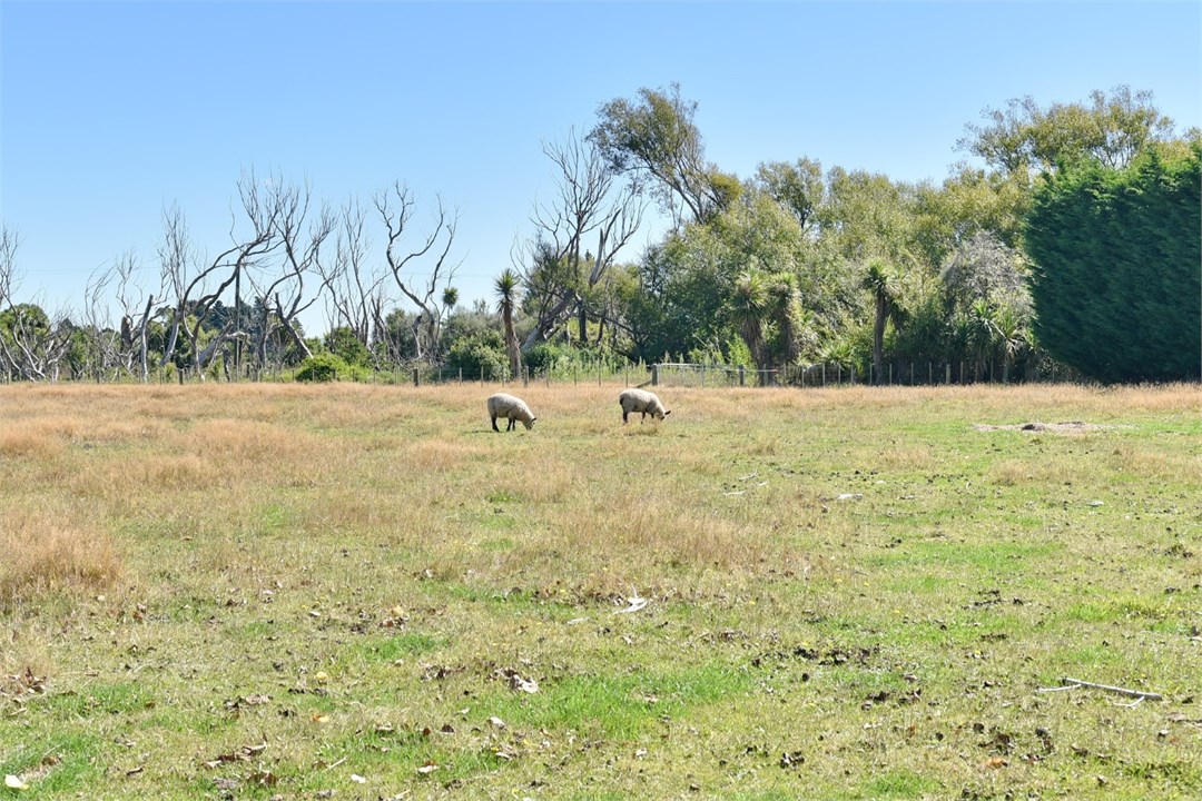 View of surrounding farmland