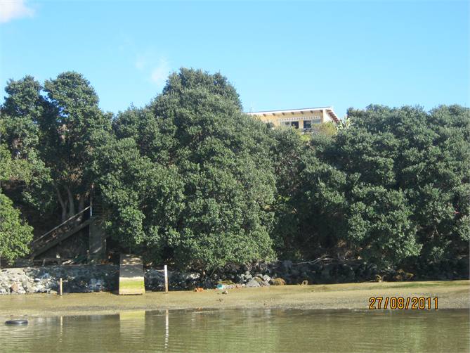 Below bach Bach is now blue