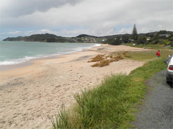 Photo taken just over the road from the bach