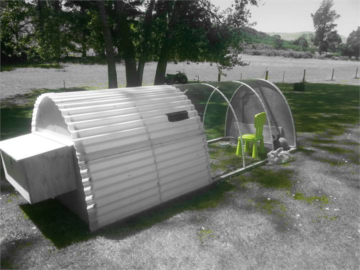 Alvin and Houdini our bunnies enjoying life!