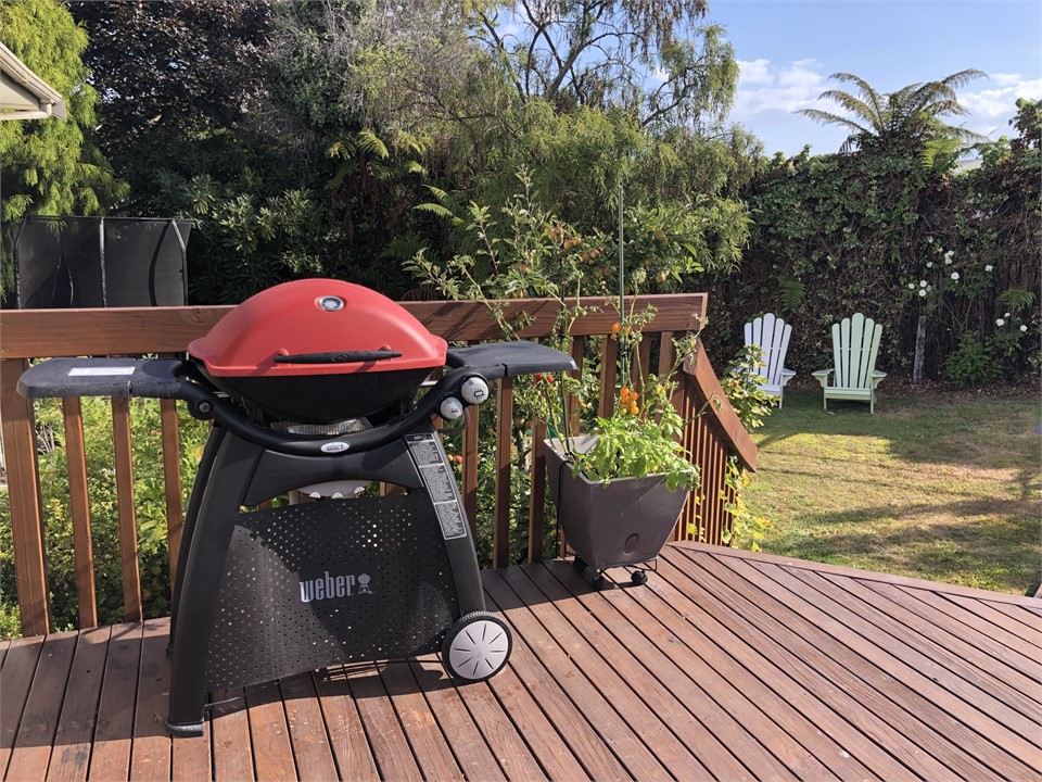 Weber Q bbq