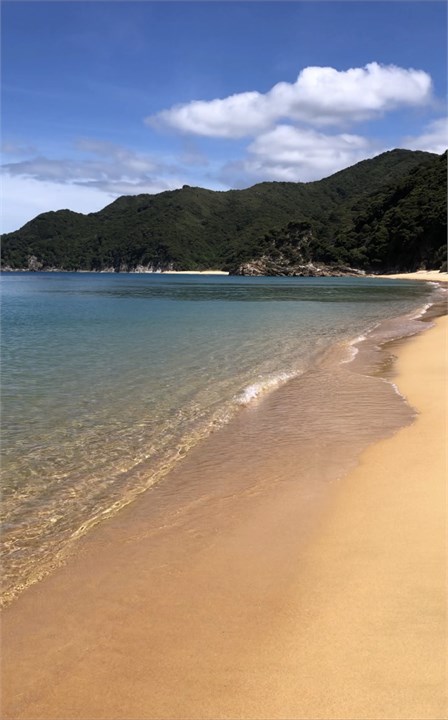 Enjoy Golden Bays stunning beaches