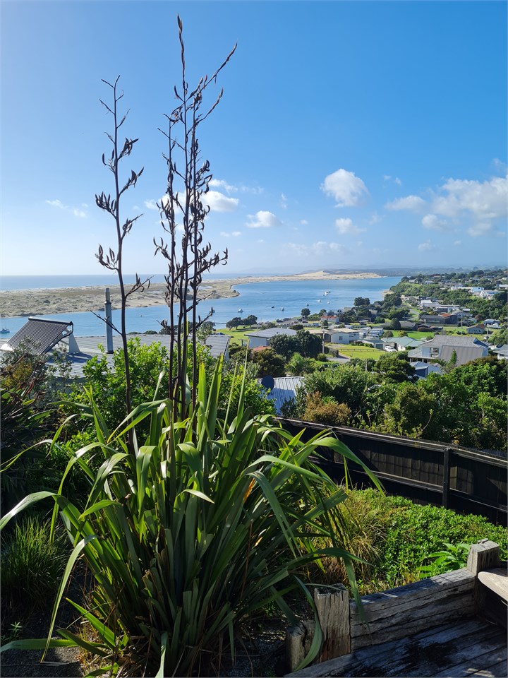 View from conservatory