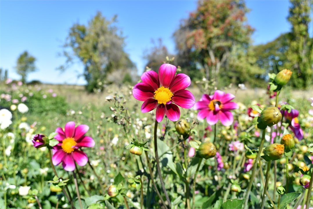 View of the surrounding area