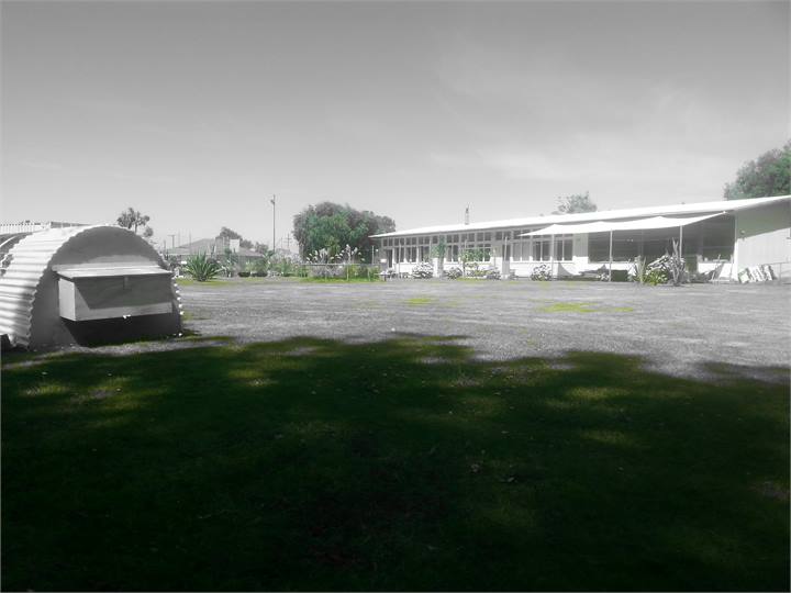 Another great photo of our yard in the grey!