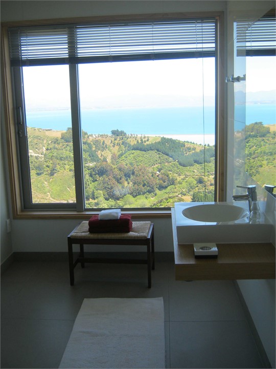 Bathroom with a view