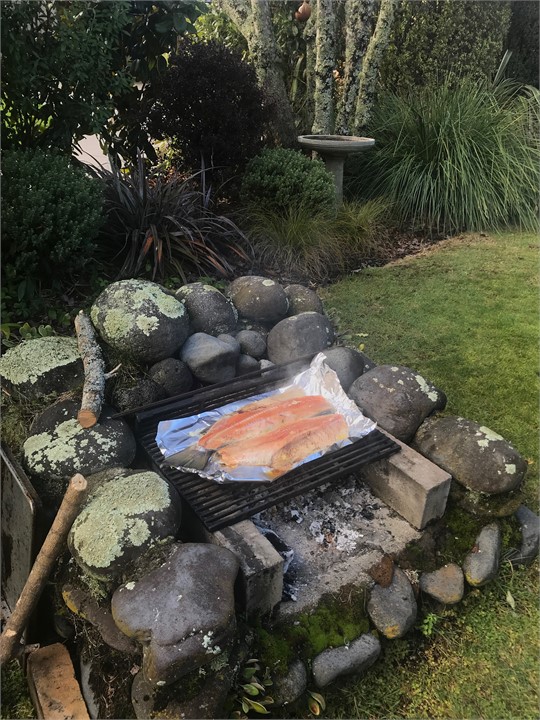 Trout on the BBQ