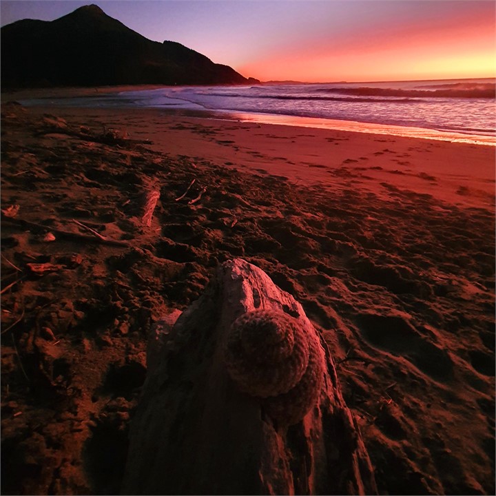 Sunrise at Mataikona