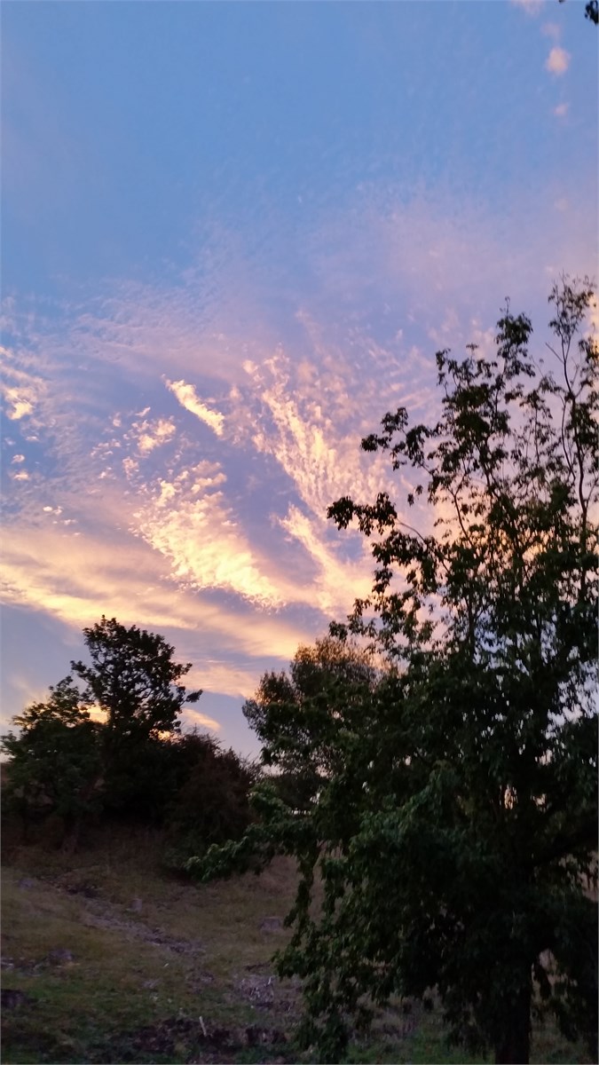 Just another delight