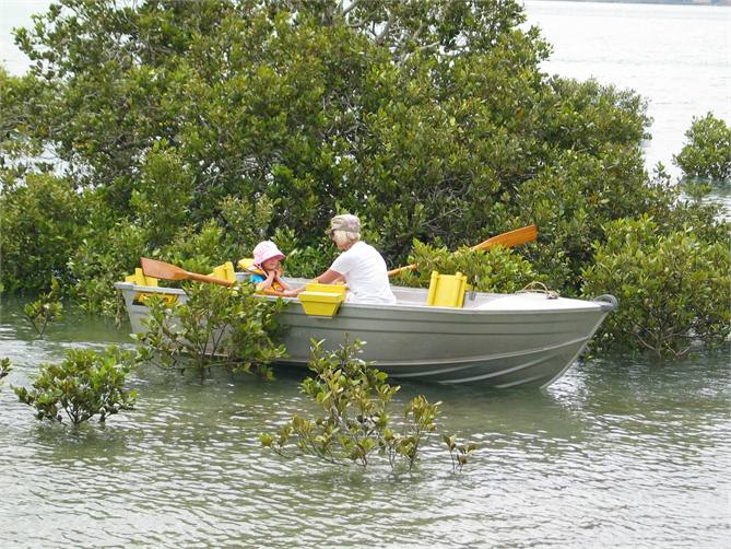 paddlng through the mangroves