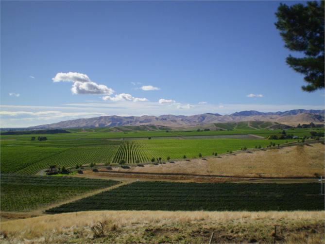The Wither Hills from the cottage deck
