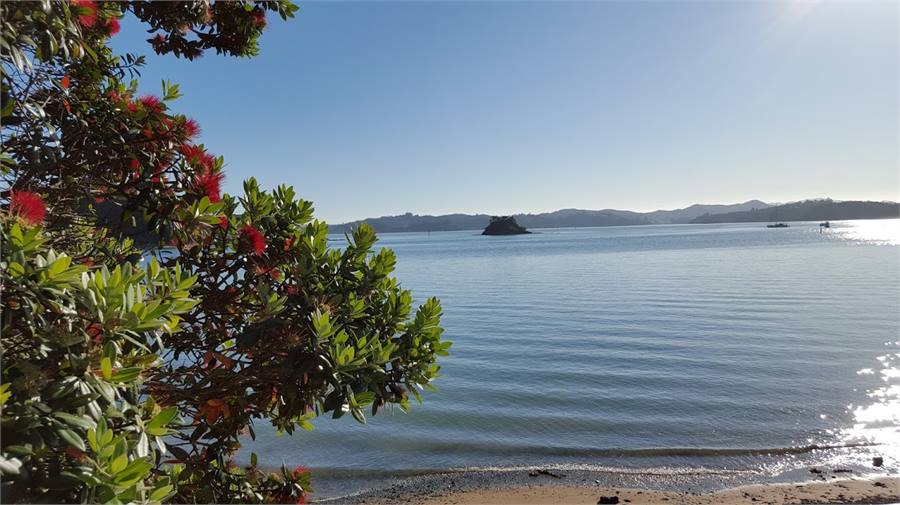 Merry Xmas Morning Paihia