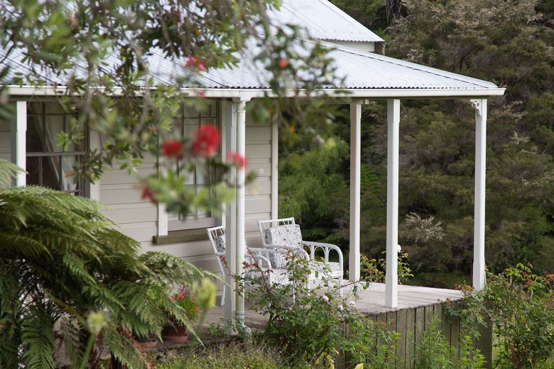 relaxing reading wine coffee