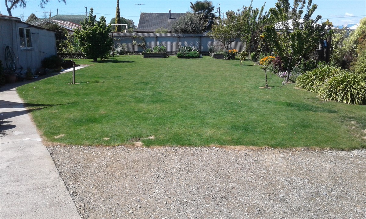 Back Garden and parking