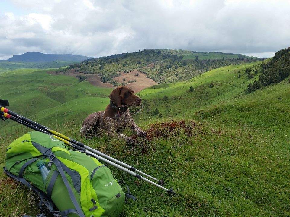 Taking a break at the top of the Blue walk