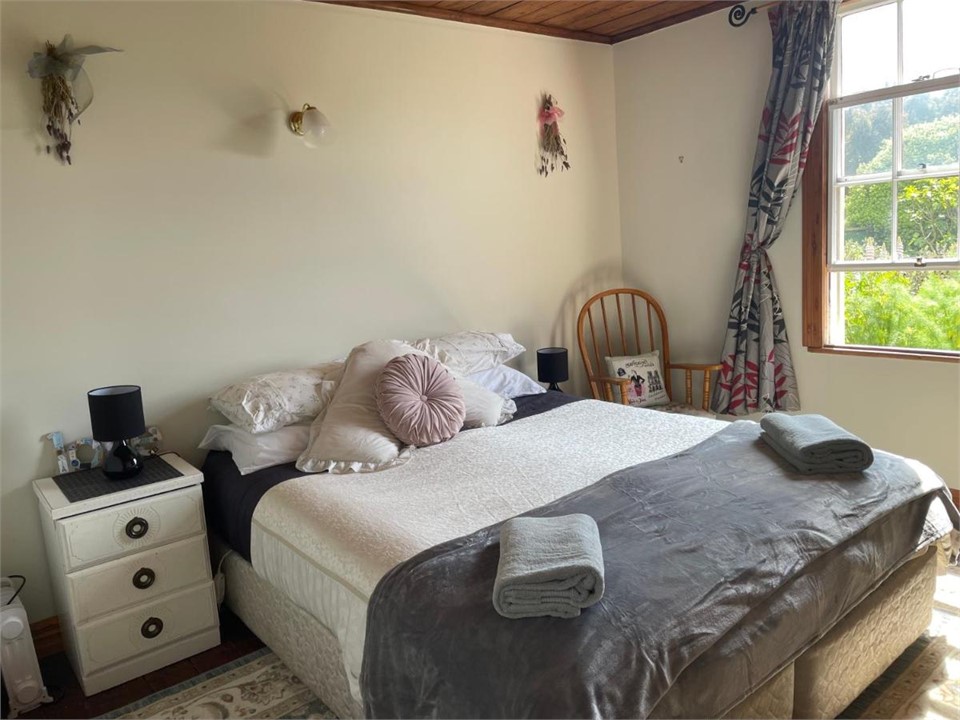 Downstairs Master bedroom