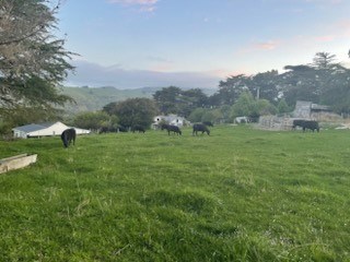 Set on private working farm