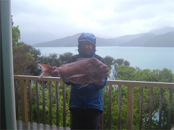Huge snapper caught just off our beach in October