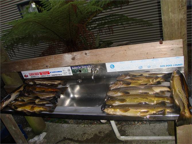 Night fishing results