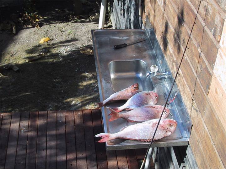 Filleting station and bait / beer fridge