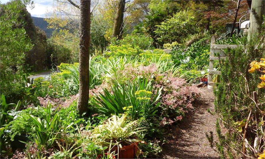 Beautiful Country Garden to walk around